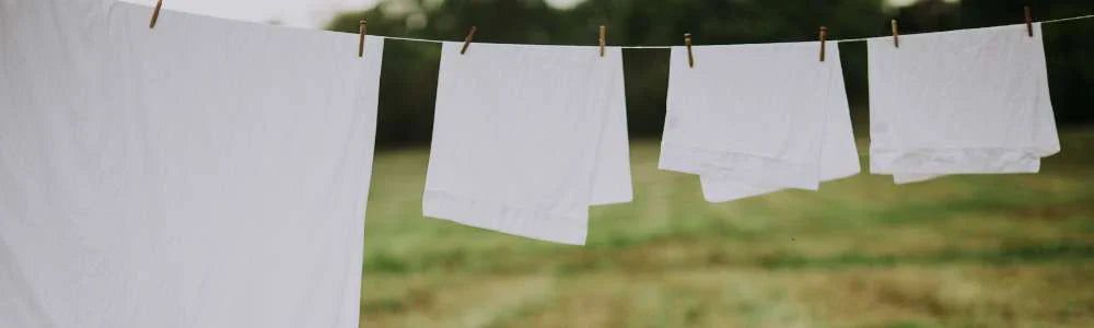 Fresh Linen